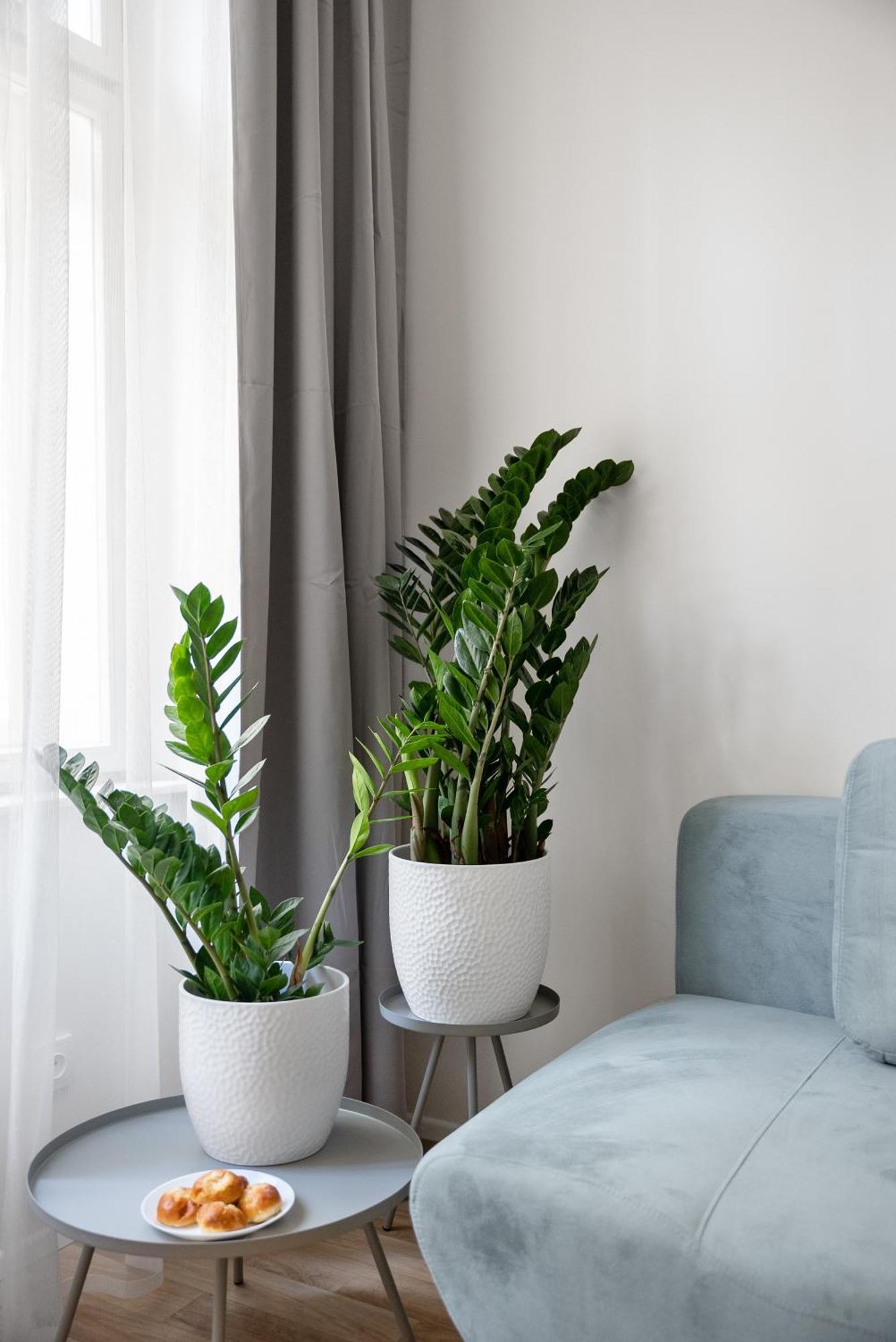 Enjoy Downtown Boutique Apartments #13 By Goodnite Cz Brno Zewnętrze zdjęcie